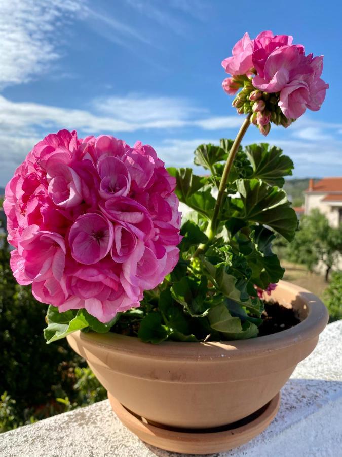 Apartman Bartol Betina  Exteriör bild